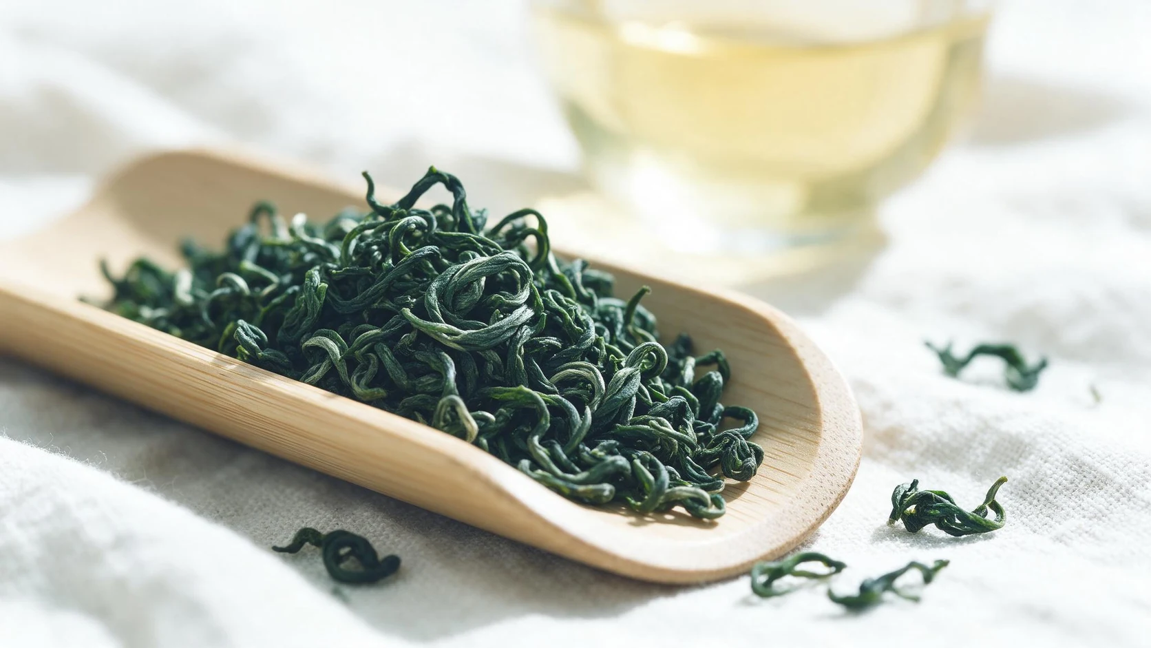 Dry leavesTwisted, curled or silvery-budded — dry leaf tells you what's coming.